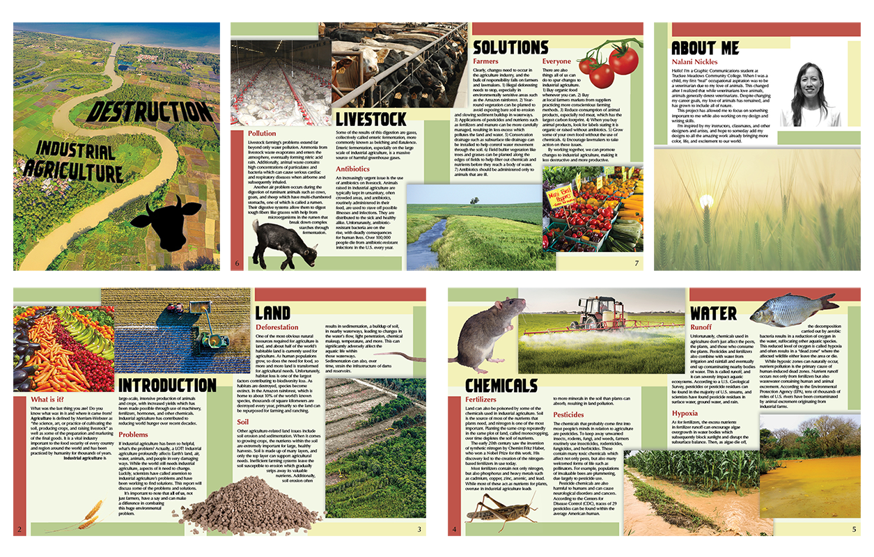 Clear images of all of the pages of the industrial agriculture booklet