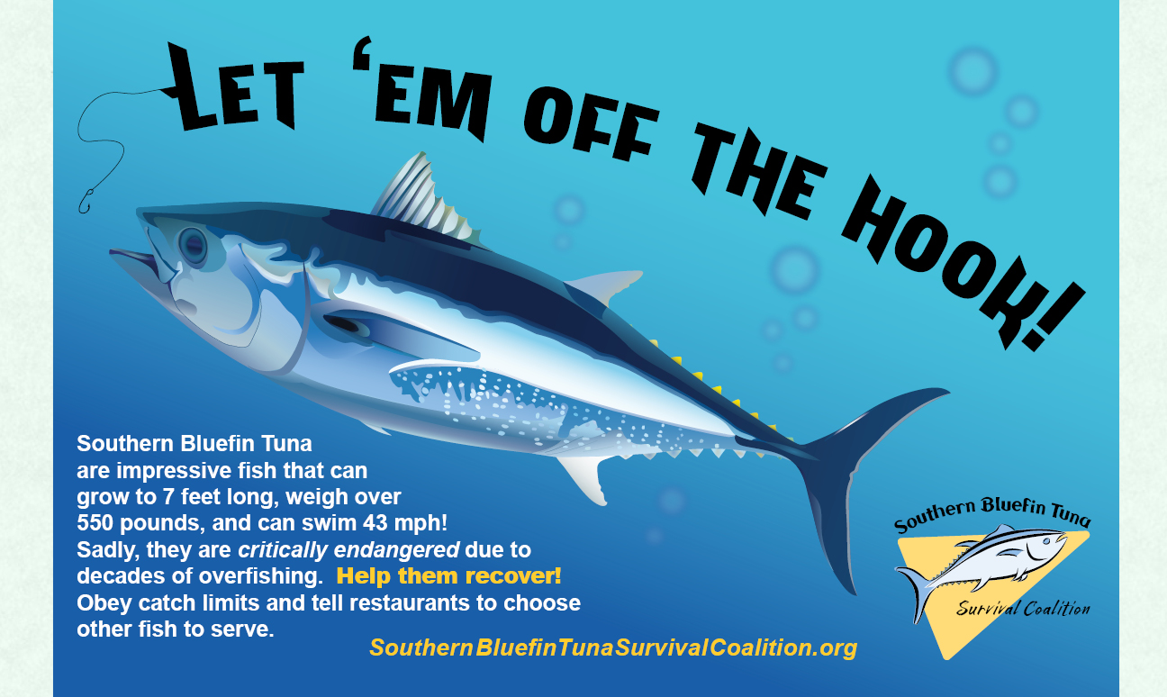 Fictitious Southern Bluefin Tuna Survival Coalition Advertisement